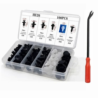 Kit clips fixation 800 pièces-100 pièces, - 100 Pcs with Tool